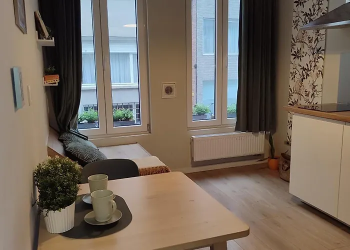 Van Lerius Studio