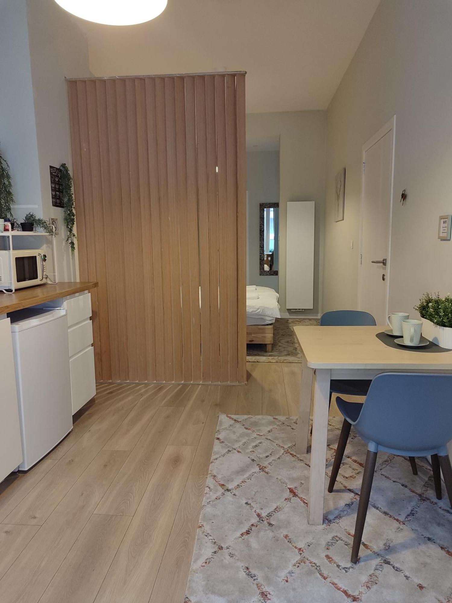 Lerius Apartment Antwerp